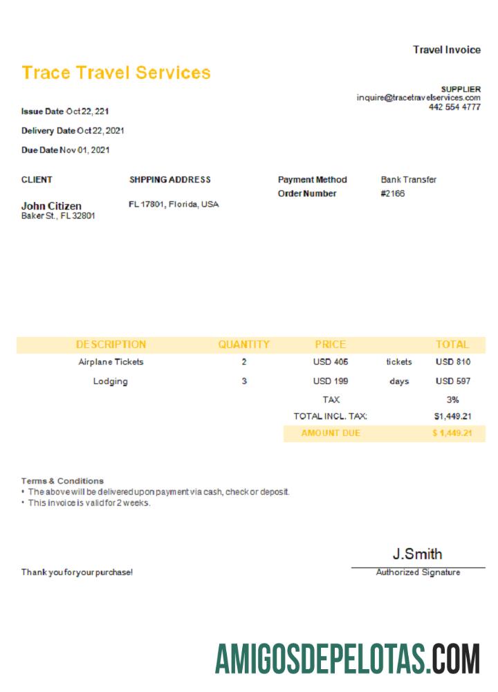 Fatura de serviços de viagem dos EUA Trace amostra